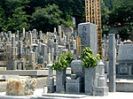 伝統の和型墓石